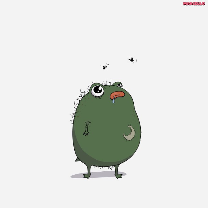 Pistacio standing around confused